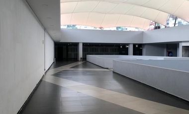 Locales en Renta-Plaza San Mateo, Naucalpan.