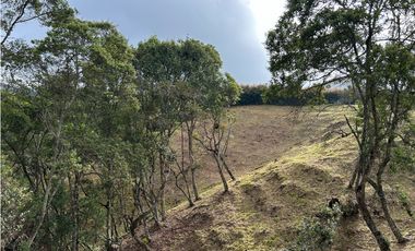 Vendo Lote sector Charcoazul Envigado,11464 mts uso para parcelación