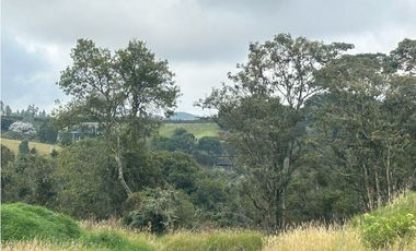 Vendo Lote sector Charcoazul Envigado,11464 mts uso para parcelación