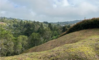 Vendo Lote sector Charcoazul Envigado,11464 mts uso para parcelación
