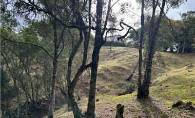 Vendo Lote sector Charcoazul Envigado,11464 mts uso para parcelación