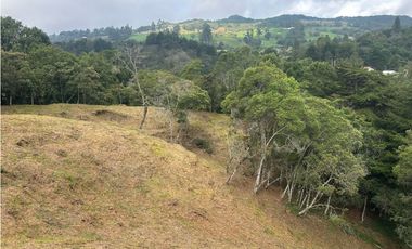 Vendo Lote sector Charcoazul Envigado,11464 mts uso para parcelación