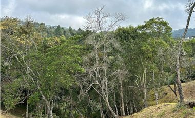 Vendo Lote sector Charcoazul Envigado,11464 mts uso para parcelación