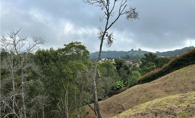Vendo Lote sector Charcoazul Envigado,11464 mts uso para parcelación