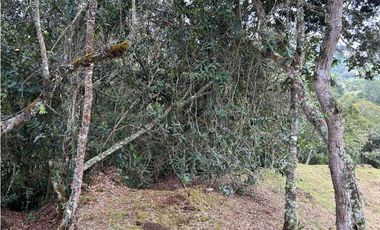 Vendo Lote sector Charcoazul Envigado,11464 mts uso para parcelación