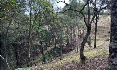 Vendo Lote sector Charcoazul Envigado,11464 mts uso para parcelación