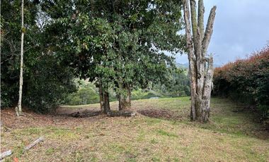 Vendo Lote sector Charcoazul Envigado,11464 mts uso para parcelación