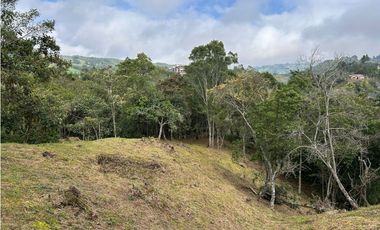 Vendo Lote sector Charcoazul Envigado,11464 mts uso para parcelación