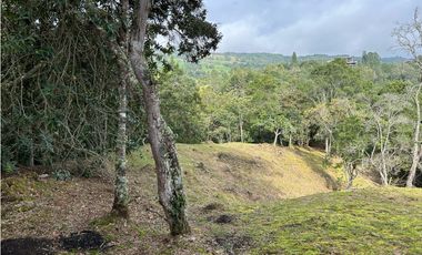 Vendo Lote sector Charcoazul Envigado,11464 mts uso para parcelación