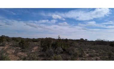VENTA O PERMUTA DE CAMPO 50 HAS EN LAS CATITAS- SANTA ROSA