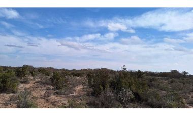 VENTA O PERMUTA DE CAMPO 50 HAS EN LAS CATITAS- SANTA ROSA