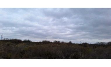 VENTA O PERMUTA DE CAMPO 50 HAS EN LAS CATITAS- SANTA ROSA