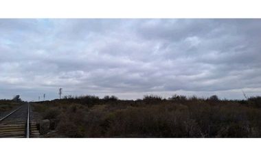 VENTA O PERMUTA DE CAMPO 50 HAS EN LAS CATITAS- SANTA ROSA