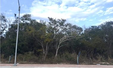 Terreno en cd. Maderas Península, Mérida Yucatán