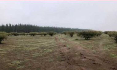 Parcela en venta en RETIRO