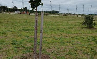 Venta Terreno en Ecotierra Pueblo Esther