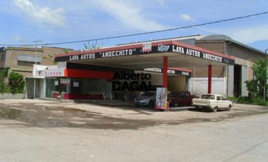 Local - Berisso