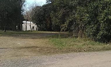 Terreno - Andino