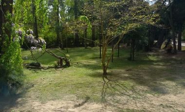 Quinta - Caraguata