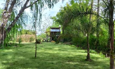 Quinta - Caraguata