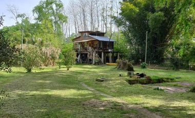 Quinta - Caraguata