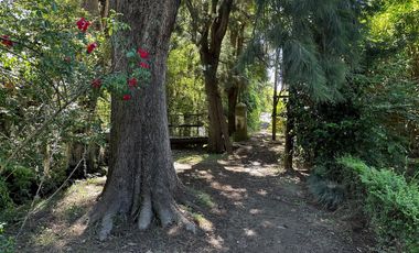 Casa en  venta en el Delta de Tigre con frente al Río Carapachay
