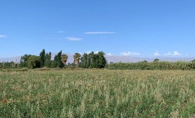 Finca - El Medanito