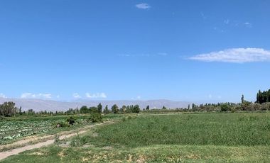 Finca - El Medanito