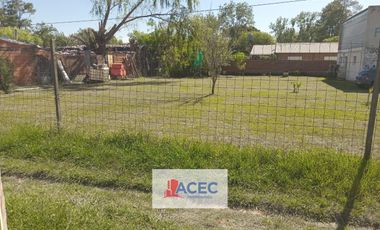 Venta - Terreno - Oliveros