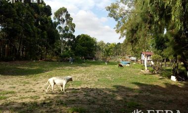 Venta terreno 3 hectareas en Sarandi