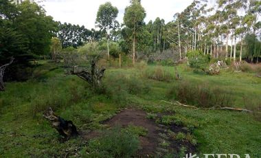 Venta terreno 3 hectareas en Sarandi