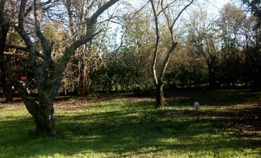 Quinta de 3 ambientes en venta en Los Pozos - Cañuelas