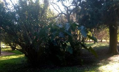 Quinta de 3 ambientes en venta en Los Pozos - Cañuelas