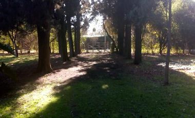 Quinta de 3 ambientes en venta en Los Pozos - Cañuelas