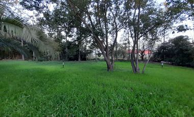 Imponente Chalet de 9 amb sobre Lote de 2.000 m2!