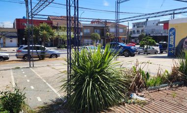 Local en Bosque Peralta Ramos