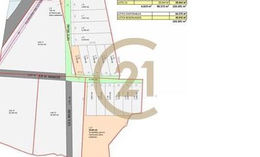Vende Loteo Barrio Industrial