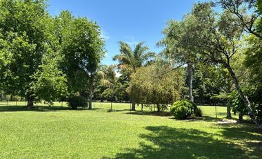 Quinta - Villa Elisa