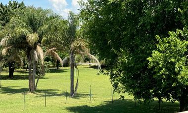 Quinta - Villa Elisa
