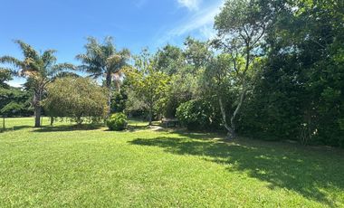 Quinta - Villa Elisa