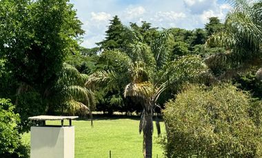 Quinta - Villa Elisa