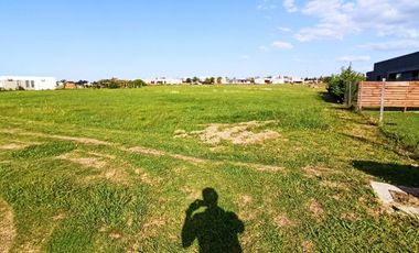 NEV. Venta de casa en pozo - San Sebastian - area 9