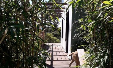 Casas en venta - 4 Dormitorios 2 Baños - 505Mts2 - Mar del Plata