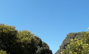 Casas en venta - 4 Dormitorios 2 Baños - 505Mts2 - Mar del Plata