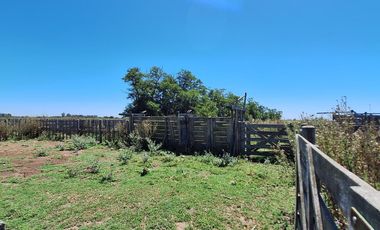 CAMPO MIXTO DE 90 HAS CON MUY BUEN ACCESO A 1.30 HS DE CABA - RANCHOS