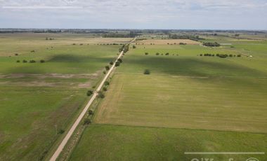 CAMPO MIXTO DE 90 HAS CON MUY BUEN ACCESO A 1.30 HS DE CABA - RANCHOS