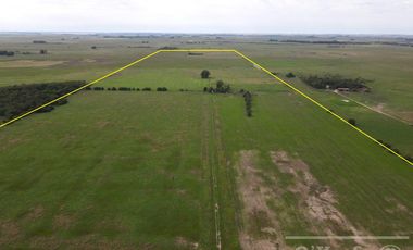 CAMPO MIXTO DE 90 HAS CON MUY BUEN ACCESO A 1.30 HS DE CABA - RANCHOS