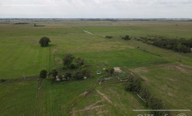 CAMPO MIXTO DE 90 HAS CON MUY BUEN ACCESO A 1.30 HS DE CABA - RANCHOS