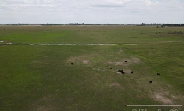 CAMPO MIXTO DE 90 HAS CON MUY BUEN ACCESO A 1.30 HS DE CABA - RANCHOS