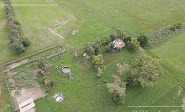 CAMPO MIXTO DE 90 HAS CON MUY BUEN ACCESO A 1.30 HS DE CABA - RANCHOS